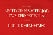 One of a kind | Serif font, a Serif Font by Taboja Studio (Thumbnail 10 of 11)