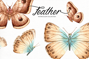 Feather Watercolor Collection