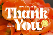 Shyne Roska Groovy Retro Serif, a Serif Font by timelesstype.co (Thumbnail 20 of 20)