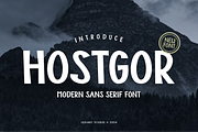 Hostgor - Modern Sans Font, a Sans Serif Font by Iqsiart Studio (Thumbnail 1 of 7)