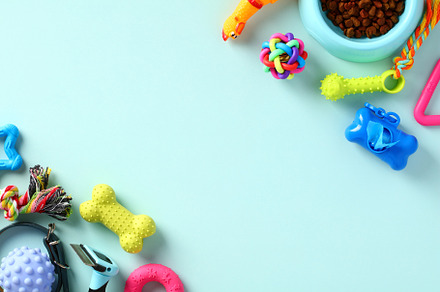Pet care concept. Pet accessories and toys on blue background. Flat lay, top vi