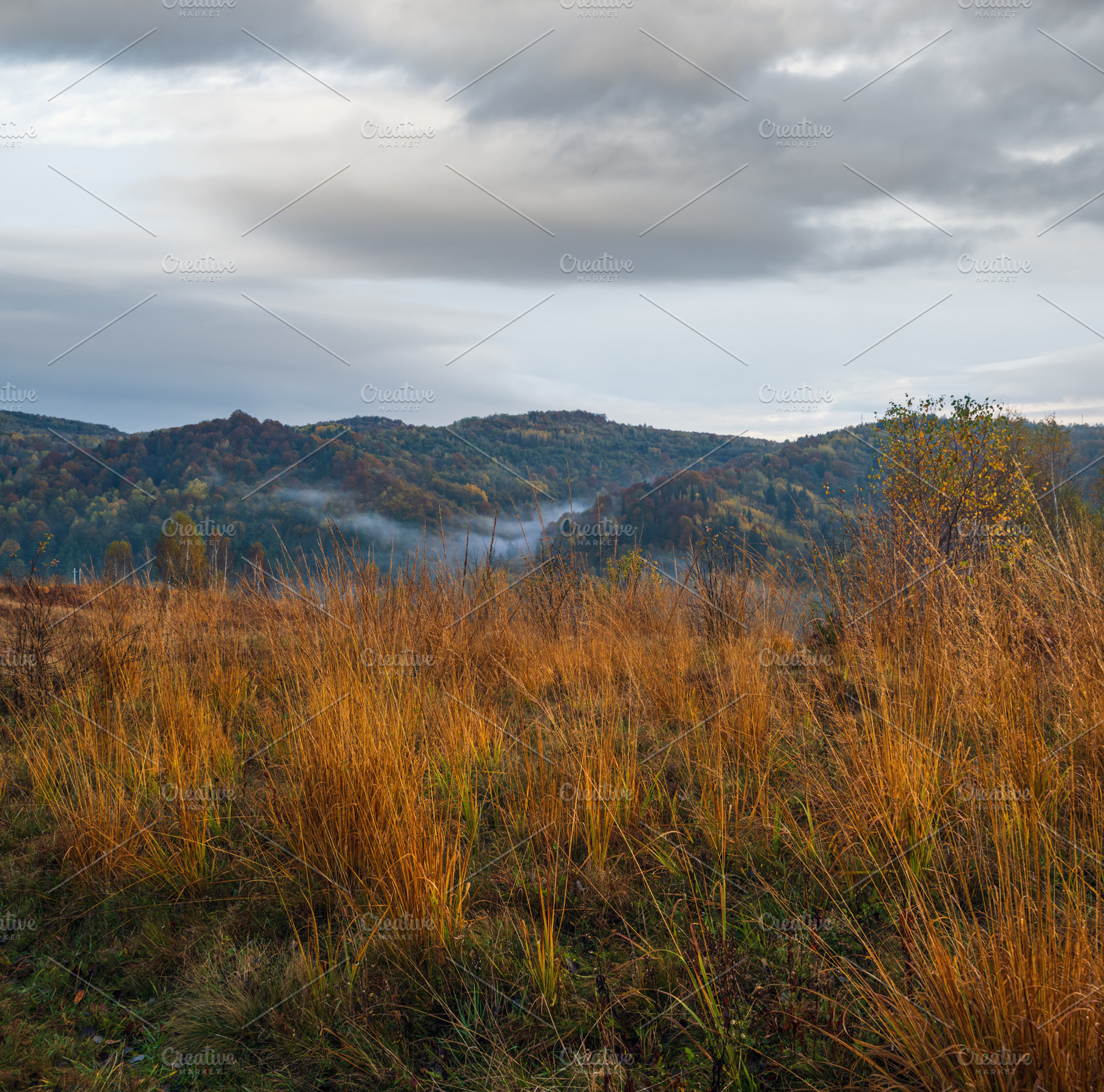 Cloudy and foggy early morning autumn meadow scene. Peaceful pic, a Nature Photo by YuriyB