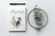 Forest Birds Watercolor Set, an Animal Illustration by AnitaPol (Thumbnail 8 of 26)