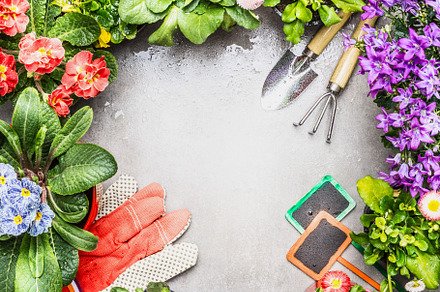 Gardening frame with tools featuring above, arrangement, and background, an Arts & Entertainment Photo by VICUSCHKA