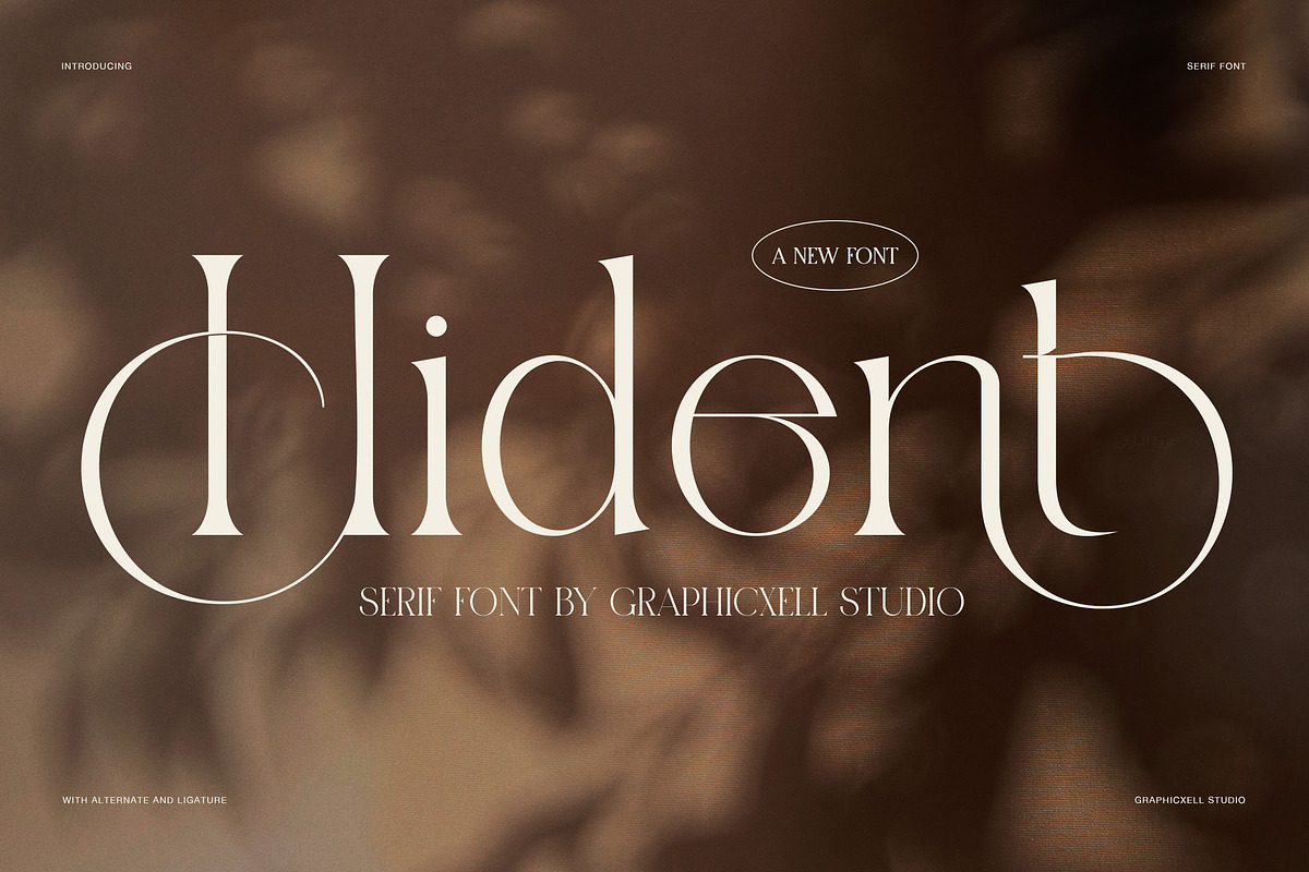 Hident Elegant Serif Display Font, a Serif Font by Graphicxell (Photo 1 of 8)