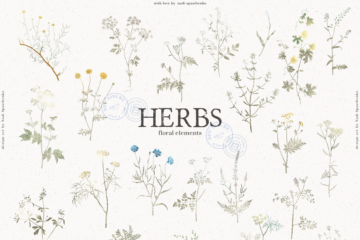 HERBS || Botanica & Glitter Effect, an Illustration by nadispasibenko (Photo 6 of 8)
