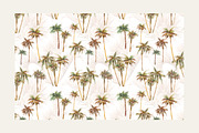 DESERT PLANTS, an Illustration by Eisfrei (Thumbnail 6 of 10)