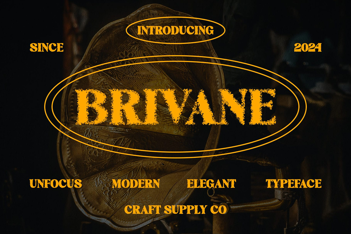 Brivane Unfocus, a Serif Font by Craft Supply Co. (Photo 1 of 8)
