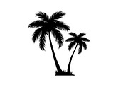 Tropical Palm Tree Silhouette Bundle, an Illustration by Amazin_art (Thumbnail 8 of 21)