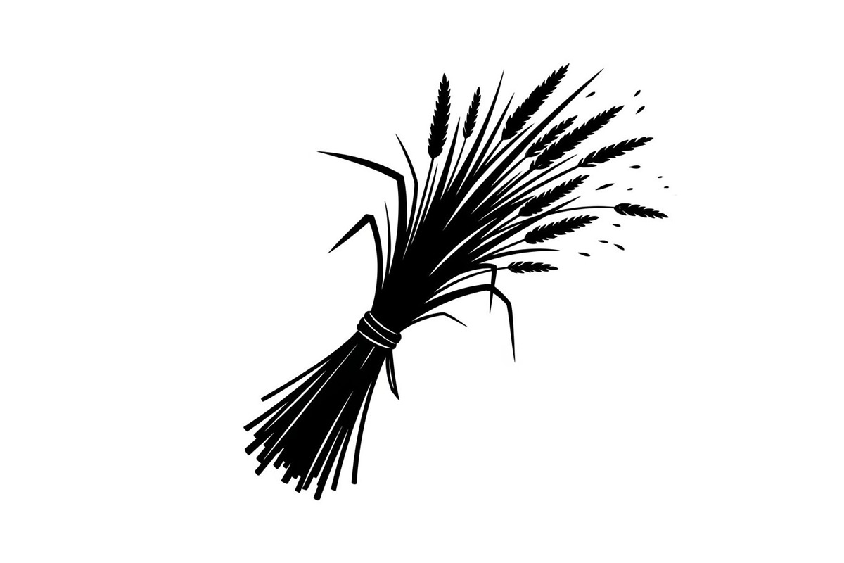 Floral Ornament Silhouette Bundle, an Illustration by BIPLOB EXPERT (Photo 21 of 51)