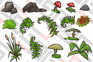 Plants and rocks