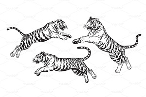 Tigers leaping and running., an Animal Illustration by yod67