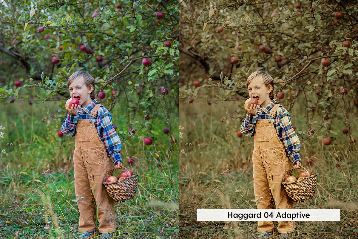 20 Cider Lightroom Presets and LUTs, a Preset Add-On by SparkleStock (Photo 3 of 13)