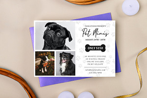 PET Mini Session Template