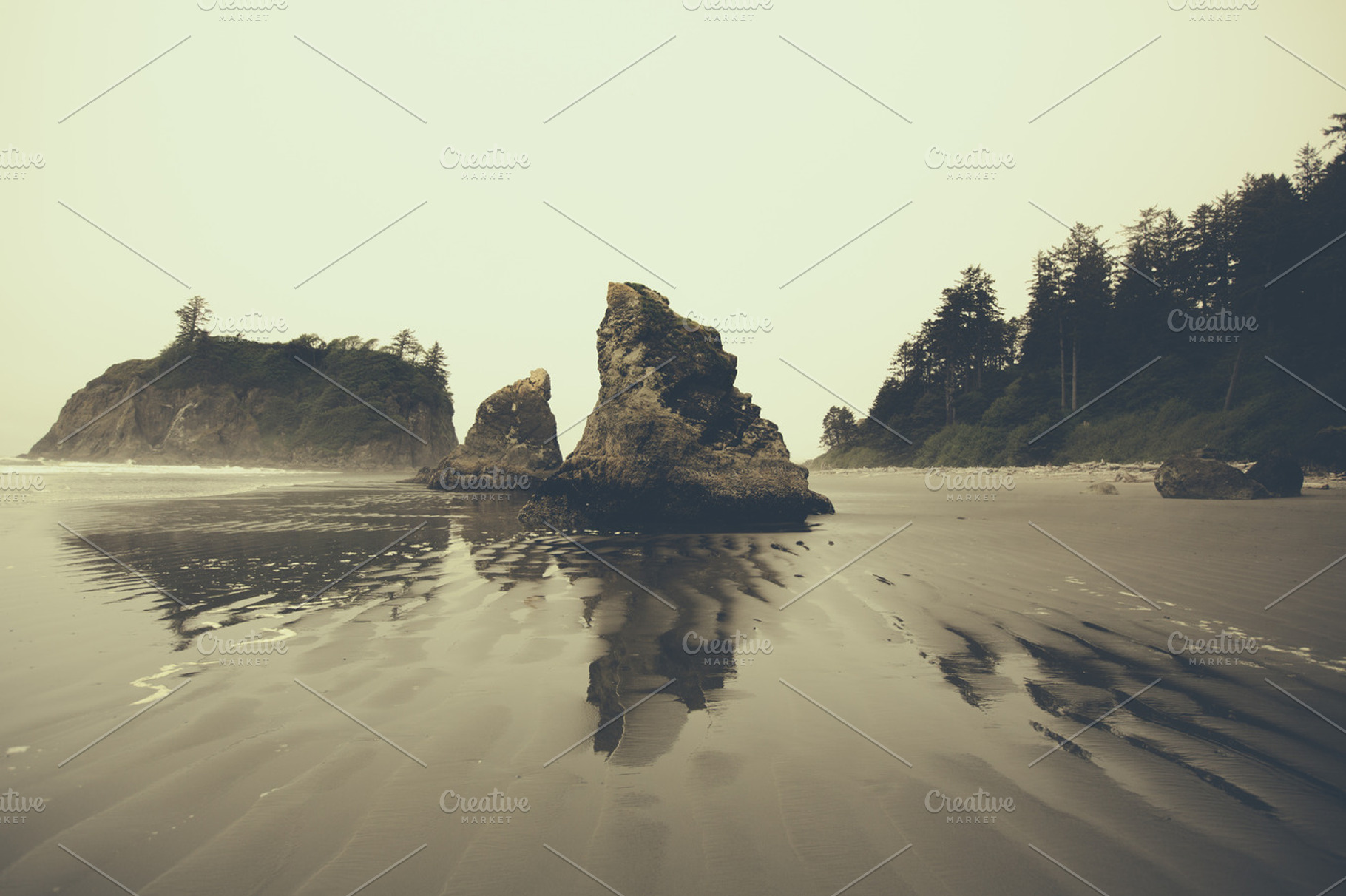 Dramatic rocks along foggy beach featuring beach, washington, and pacific, a Nature Photo by Moth Owl Photography