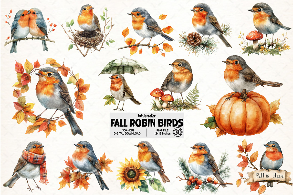 Watercolor Robin Birds Clipart, Fall, an Illustration by Pixels.Craft (Photo 1 of 7)