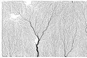 Growth - 50 Backgrounds, a Texture Graphic by GarryKillian (Thumbnail 14 of 51)