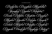Beautiful Heliography Script, a Script Font by Has_rizal (Thumbnail 7 of 12)