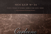10 Deluxe Front Logo Mockups - V2, an Advertising Mockup by Asylab (Thumbnail 7 of 19)