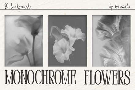 Monochrome FLOWERS backgrounds, a Background Graphic by lerinartstudio