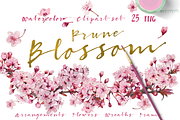 Prune Blossom - Wedding Clipart set, an Illustration by watercolorwild.graphics (Thumbnail 1 of 6)
