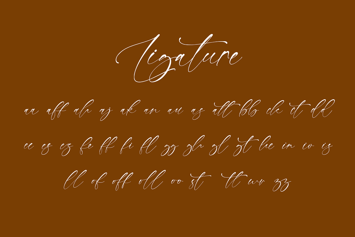 Daniella Megan - Modern Signature, a Handwritten Font by CreateBigSupply (Photo 8 of 9)