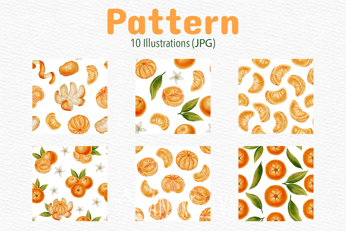 Tangerines — Watercolor Illustration, a Food Illustration by Andre_Eva (Photo 10 of 11)