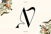 Vastyque - Modern Ligatures Serif, a Serif Font by Vesvocrea (Thumbnail 9 of 12)