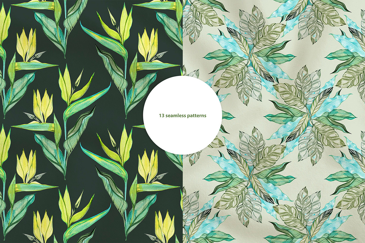 Delicate Tropics Watercolor Clipart, a Decorative Illustration by NataliMiasStore (Photo 4 of 7)