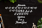 Cameliya - Bold Script Font, a Script Font by StringLabs (Thumbnail 14 of 14)