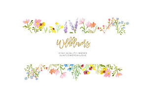 Frame Watercolor Wildflowers Clipart