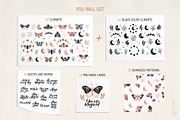 Magic Moon Butterflies Clipart Set, an Object Graphic by Alena Koval (Thumbnail 9 of 15)