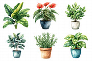 Watercolor Home Plants Clipart, an Illustration by Daily.Designs (Thumbnail 3 of 8)
