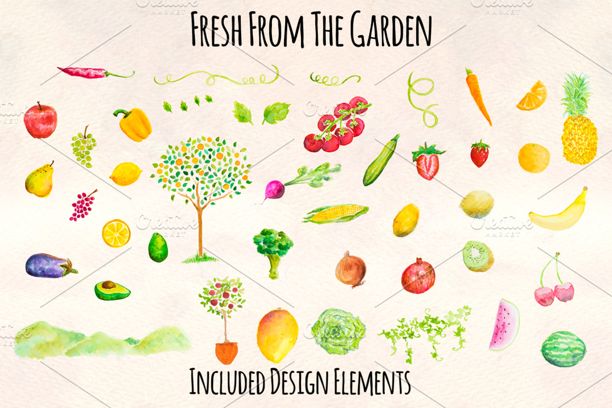 Fruit and Vegetable Watercolor Kit, a Food Illustration by Violet LeBeaux (Photo 1 of 5)