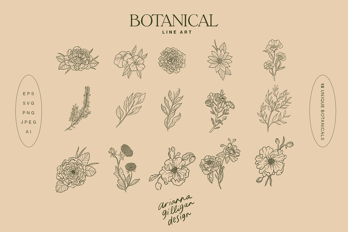 Line-Art Botanicals Pack, an Illustration by Drawn By Arianna (Photo 3 of 5)