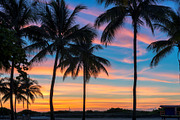 Coco palms at sunrise in miami beach containing sunset, beach, and palm, a Nature Photo by Lucky Photographer (Thumbnail 2 of 2)