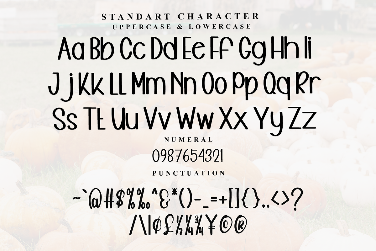 Pumpkin Farmhouse, a Serif Font by InermediaSTUDIO (Photo 3 of 7)