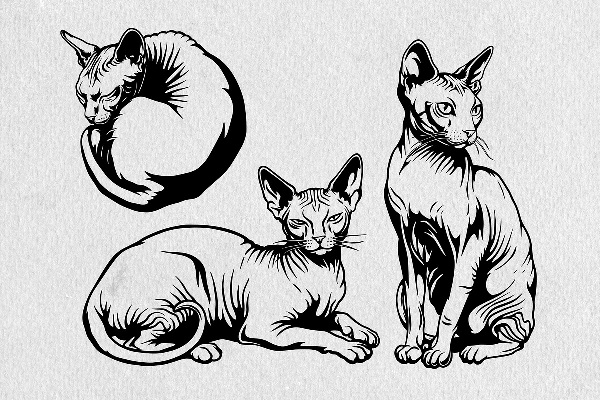 Sphynx Cat Illustration Pack, an Animal Illustration by Tekuni (Photo 10 of 14)