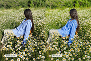 5 Natural Mobile Video LUTs, a Brushes & More by TheWayfarerShoppe (Thumbnail 15 of 17)