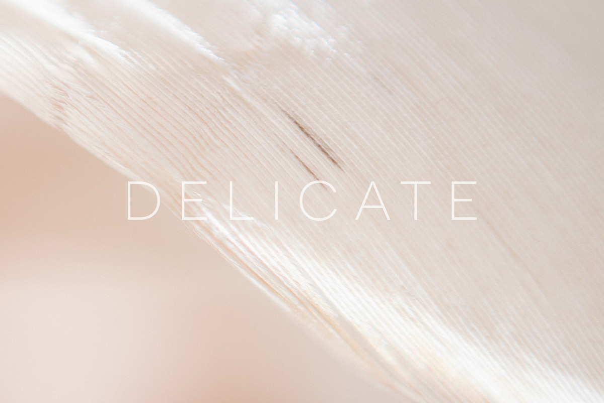 Delicate | 20 Feather Photos, a Nature Photo by Melanie Helena (Photo 8 of 20)