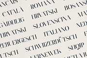 Typorama – Elegant Serif Font, a Serif Font by Only Fonts (Thumbnail 6 of 11)