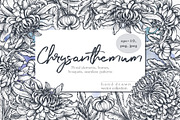 Chrysanthemum vector set, a Decorative Illustration by Molly art (Thumbnail 1 of 11)