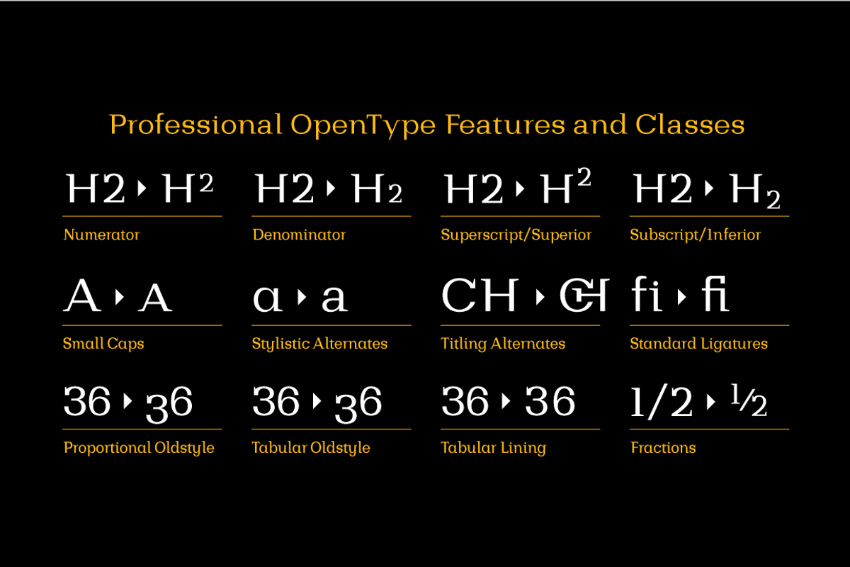 Bodrum Style, a Slab Serif Font by BULENT YUKSEL (Photo 6 of 12)
