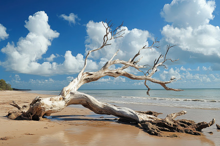 Wangetti Beach in Queensland feature, a Photo by Iftikhar Alam