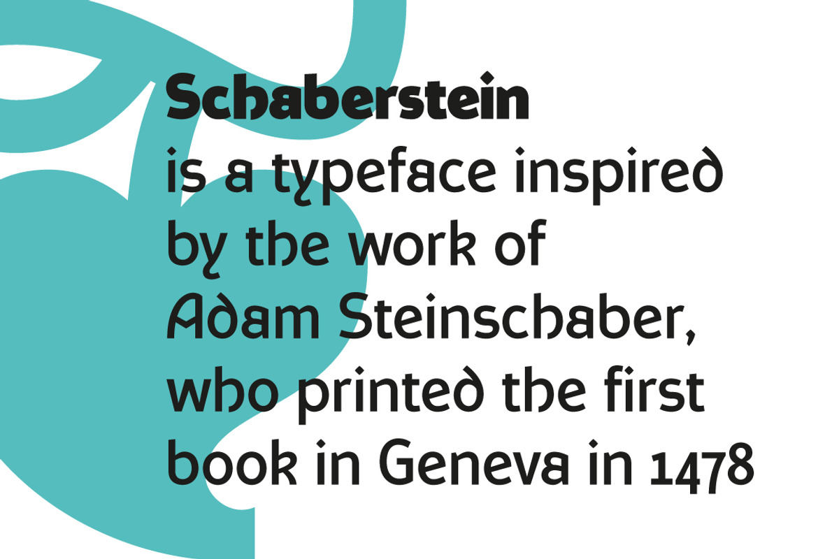 Schaberstein, a Sans Serif Font by Typogama (Photo 2 of 13)