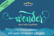 Wonder, a Script Font by JROH Creative (Thumbnail 1 of 5)