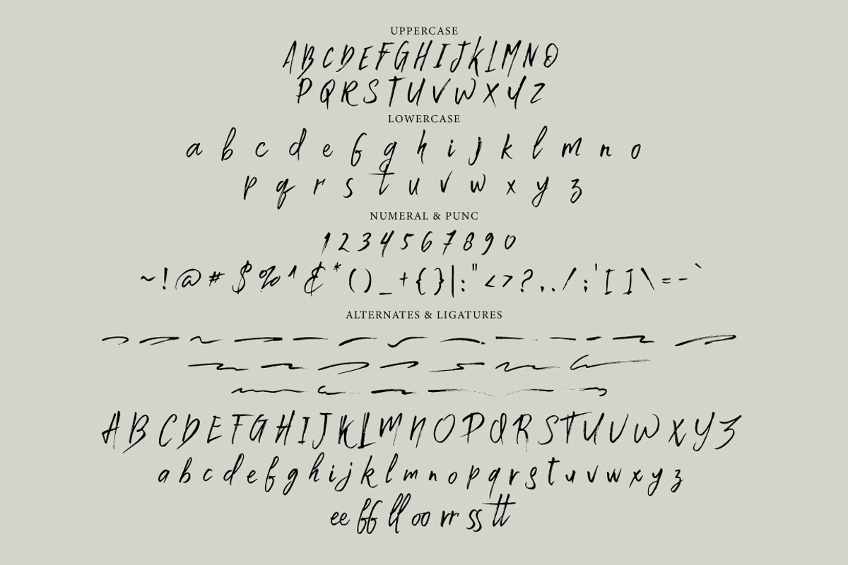 Backstand Sunday - Freestyle Brush, a Handwritten Font by tebaltipislab (Photo 7 of 12)