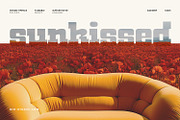 Witness, a Slab Serif Font by din-studio.com (Thumbnail 4 of 15)