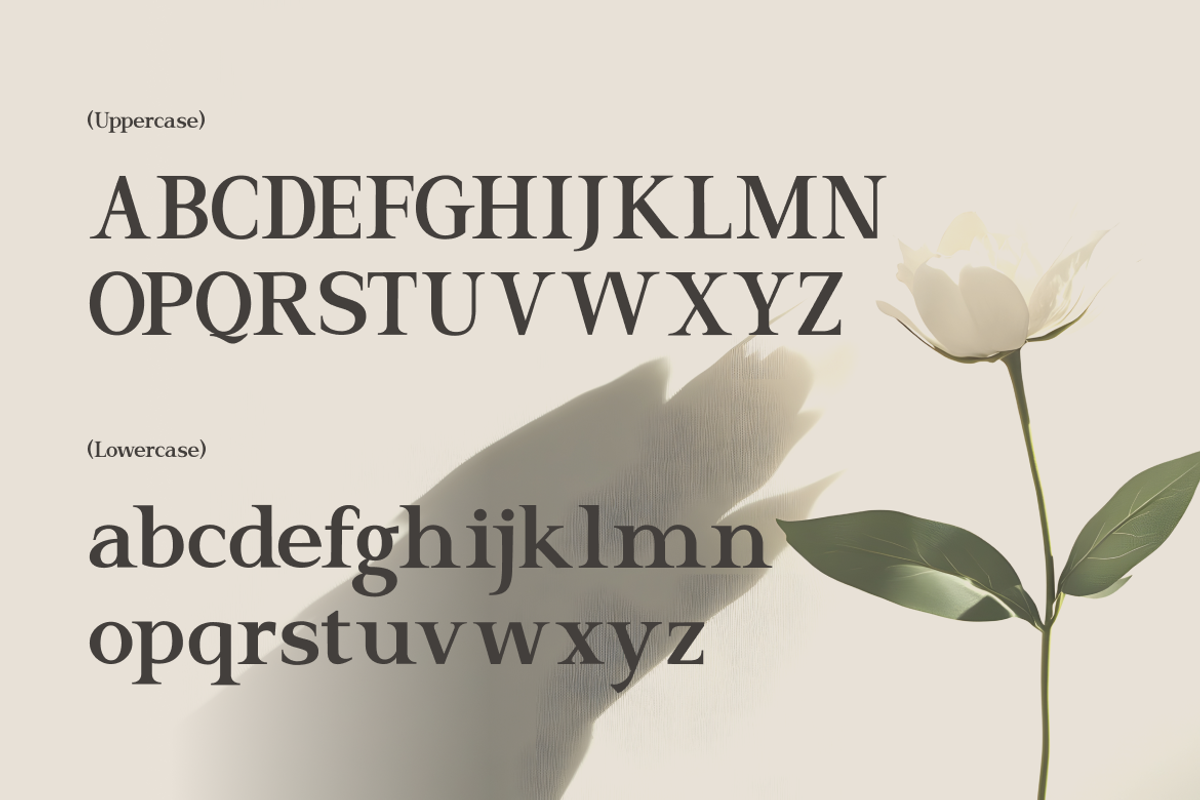 El Romantica Elegant Serif Font, a Serif Font by Vadovastd (Photo 2 of 7)