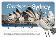 4 Bin Chicken (Ibis) Illustrations, an Animal Illustration by ghodzilla_draws (Thumbnail 2 of 3)
